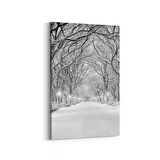 Olla 13780D Doğa / Manzara Görseli Dikey Kanvas Tablo (Ölçü: 60X90)