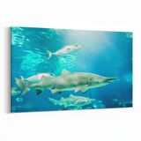 Olla 12896Y Deniz / Okyanus Görseli Yatay Kanvas Tablo (Ölçü: 70X50)