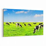 Olla 12671Y Hayvanlar Alemi Görseli Yatay Kanvas Tablo (Ölçü: 150X100)