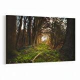 Olla 14005Y Doğa / Manzara Görseli Yatay Kanvas Tablo (Ölçü: 120X80)