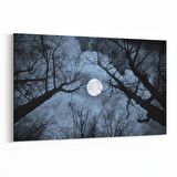 Olla 14769Y Gece Gökyüzü Görseli Yatay Kanvas Tablo (Ölçü: 30X20)