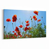 Olla 10495Y Ağaç Görseli Yatay Kanvas Tablo (Ölçü: 45X30)