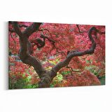 Olla 14223Y Doğa / Manzara Görseli Yatay Kanvas Tablo (Ölçü: 30X20)