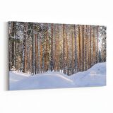 Olla 13533Y Doğa / Manzara Görseli Yatay Kanvas Tablo (Ölçü: 45X30)