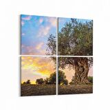 Olla 14373K4 Doğa / Manzara Görseli Kare 4'lü Kanvas Tablo (Ölçü: 125X125)