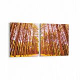 Olla 14101K2Y Doğa / Manzara Görseli Kare 2'li Yatay Kanvas Tablo (Ölçü: 125X60)