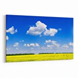 Olla 14514Y Doğa / Manzara Görseli Yatay Kanvas Tablo (Ölçü: 45X30)