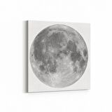 Olla 17639K Uzay Görseli Kare Kanvas Tablo (Ölçü: 100X100)