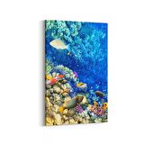 Olla 12126D Akvaryum / Balık Görseli Dikey Kanvas Tablo (Ölçü: 100X150)