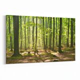 Olla 13593Y Doğa / Manzara Görseli Yatay Kanvas Tablo (Ölçü: 30X20)