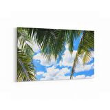 Olla 11492Y Palmiye Ağacı Görseli Yatay Kanvas Tablo (Ölçü: 45X30)