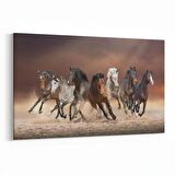 Olla 12662Y Hayvanlar Alemi Görseli Yatay Kanvas Tablo (Ölçü: 150X100)