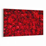 Olla 11603Y Çiçek Görseli Yatay Kanvas Tablo (Ölçü: 150X100)