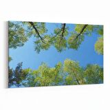 Olla 10602Y Ağaç Görseli Yatay Kanvas Tablo (Ölçü: 90X60)