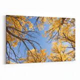 Olla 10981Y Ağaç Görseli Yatay Kanvas Tablo (Ölçü: 150X100)