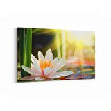 Olla 17043Y Spa / Masaj Görseli Yatay Kanvas Tablo (Ölçü: 150X100)