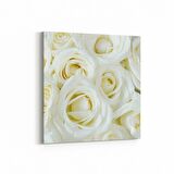 Olla 11646K Çiçek Görseli Kare Kanvas Tablo (Ölçü: 25X25)