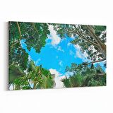 Olla 10857Y Ağaç Görseli Yatay Kanvas Tablo (Ölçü: 70X50)