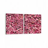 Olla 11627K2Y Çiçek Görseli Kare 2'li Yatay Kanvas Tablo (Ölçü: 105X50)