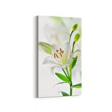 Olla 10974DD Ağaç Görseli Dikey Dar Kanvas Tablo (Ölçü: 30X60)