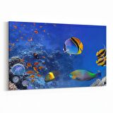 Olla 12144Y Akvaryum / Balık Görseli Yatay Kanvas Tablo (Ölçü: 90X60)