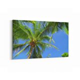 Olla 11548Y Palmiye Ağacı Görseli Yatay Kanvas Tablo (Ölçü: 90X60)