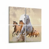 Olla 12469K4 Hayvanlar Alemi Görseli Kare 4'lü Kanvas Tablo (Ölçü: 125X125)