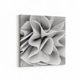 Olla 10199K Abstract Görsel Kare Kanvas Tablo (Ölçü: 30X30)