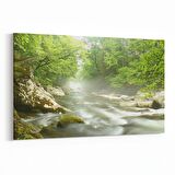 Olla 13676Y Doğa / Manzara Görseli Yatay Kanvas Tablo (Ölçü: 150X100)