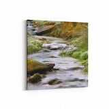 Olla 13847K Doğa / Manzara Görseli Kare Kanvas Tablo (Ölçü: 30X30)