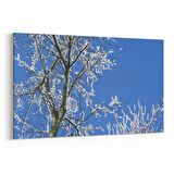 Olla 10914Y Ağaç Görseli Yatay Kanvas Tablo (Ölçü: 70X50)