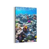 Olla 12073D Akvaryum / Balık Görseli Dikey Kanvas Tablo (Ölçü: 100X150)