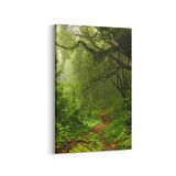 Olla 13455D Doğa / Manzara Görseli Dikey Kanvas Tablo (Ölçü: 20X30)