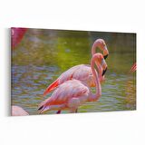 Olla 12481Y Hayvanlar Alemi Görseli Yatay Kanvas Tablo (Ölçü: 120X80)