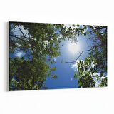 Olla 10795Y Ağaç Görseli Yatay Kanvas Tablo (Ölçü: 30X20)