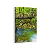 Olla 14285D Doğa / Manzara Görseli Dikey Kanvas Tablo (Ölçü: 20X30)