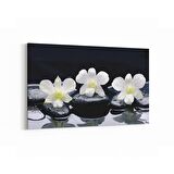 Olla 17105Y Spa / Masaj Görseli Yatay Kanvas Tablo (Ölçü: 70X50)