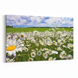 Olla 13792Y Doğa / Manzara Görseli Yatay Kanvas Tablo (Ölçü: 150X100)