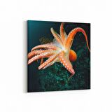 Olla 12963K Deniz / Okyanus Görseli Kare Kanvas Tablo (Ölçü: 60X60)