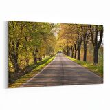 Olla 13579Y Doğa / Manzara Görseli Yatay Kanvas Tablo (Ölçü: 150X100)