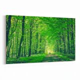 Olla 14091Y Doğa / Manzara Görseli Yatay Kanvas Tablo (Ölçü: 90X60)