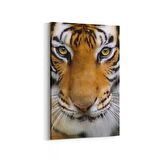 Olla 12517D Hayvanlar Alemi Görseli Dikey Kanvas Tablo (Ölçü: 100X150)