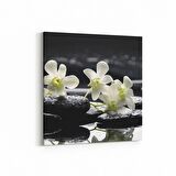 Olla 17101K Spa / Masaj Görseli Kare Kanvas Tablo (Ölçü: 100X100)