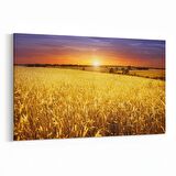 Olla 16076Y Günbatımı Görseli Yatay Kanvas Tablo (Ölçü: 70X50)