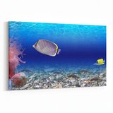 Olla 12106Y Akvaryum / Balık Görseli Yatay Kanvas Tablo (Ölçü: 30X20)