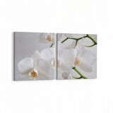 Olla 11723K2Y Orkide Çiçek Görseli 2'li Yatay Kanvas Tablo (Ölçü: 145X70)