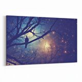 Olla 14738Y Gece Gökyüzü Görseli Yatay Kanvas Tablo (Ölçü: 45X30)