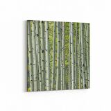 Olla 13468K Doğa / Manzara Görseli Kare Kanvas Tablo (Ölçü: 25X25)