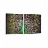 Olla 12624K2Y Hayvanlar Alemi Görseli Kare 2'li Yatay Kanvas Tablo (Ölçü: 105X50)