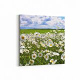 Olla 13792K Doğa / Manzara Görseli Kare Kanvas Tablo (Ölçü: 25X25)